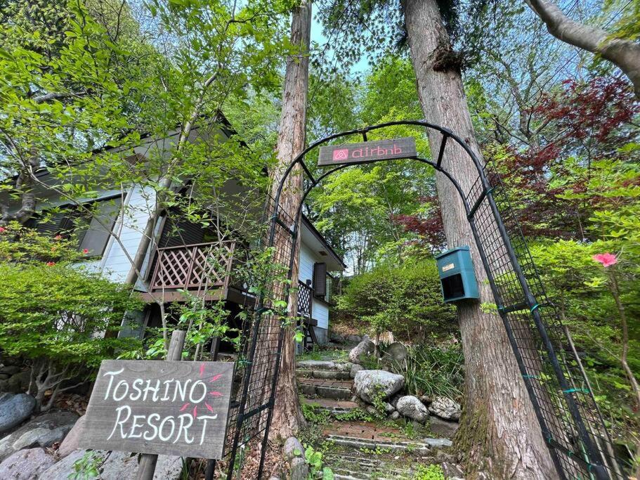 Toshino *
